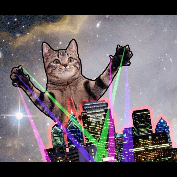 Meet your Posher, Anna - Picture 1 of 1